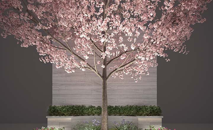 日本の植生に適した3D樹木モデルデータのセット販売を開始しました